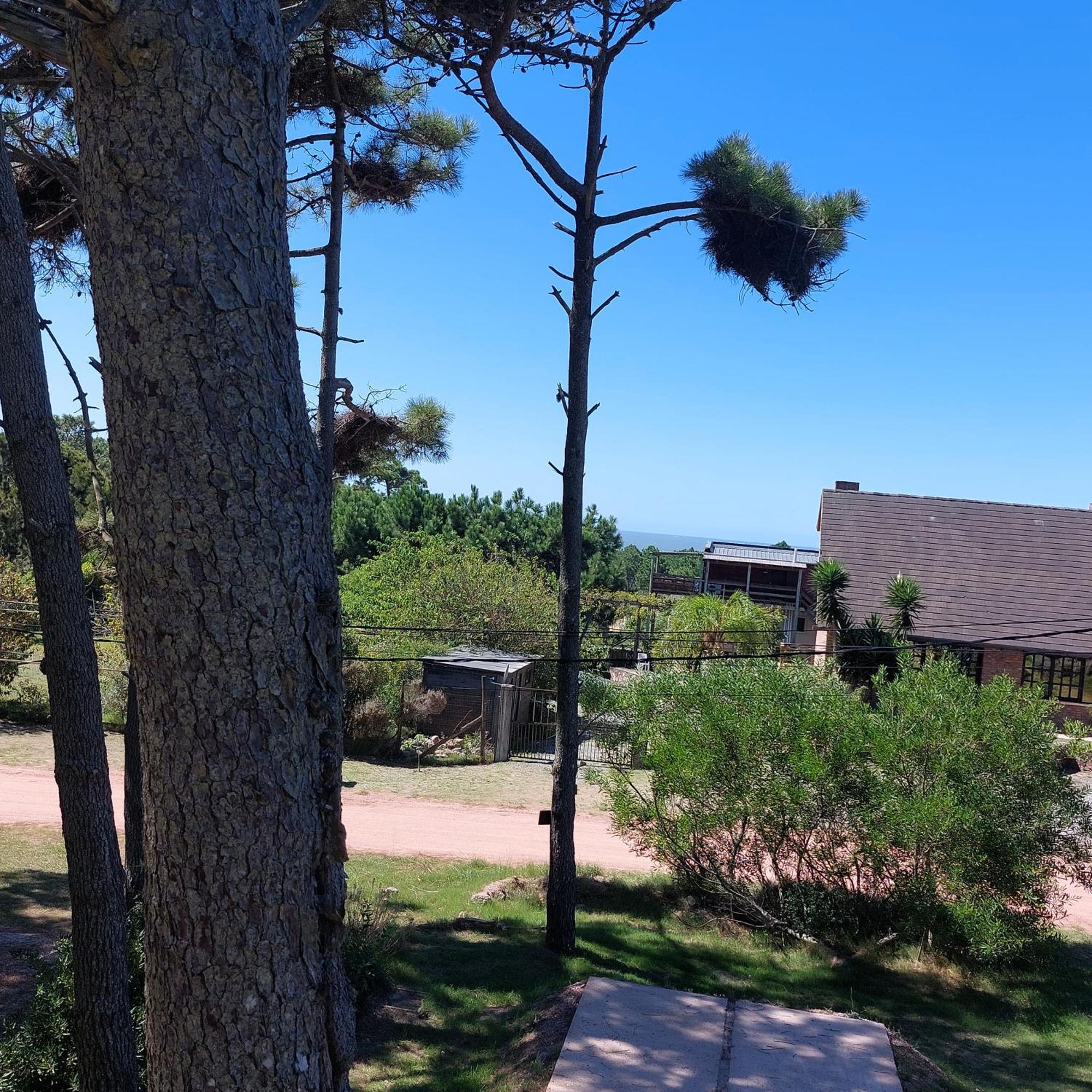 Casa Amarilla Con Jacuzzi Villa Punta Del Diablo Kültér fotó